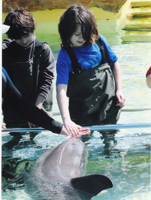 Caroline et un dauphin