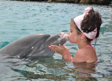 Avec un dauphin