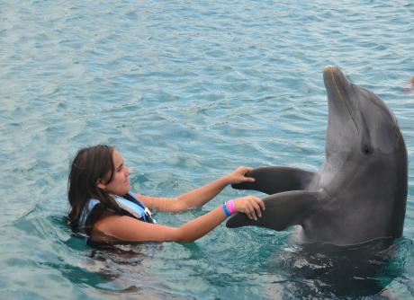 Laura et un dauphin