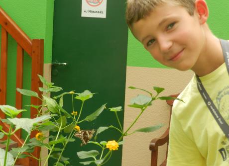 Cédric