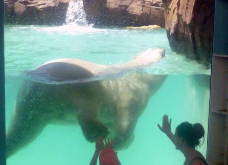 Marineland