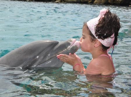 Avec un dauphin